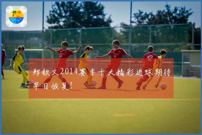 郑钦文2014赛季十大精彩进球期待早日恢复！