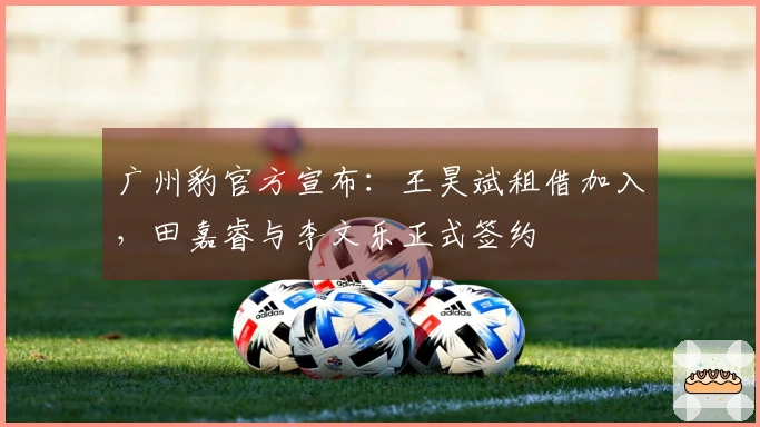 广州豹官方宣布：王昊斌租借加入，田嘉睿与李文乐正式签约